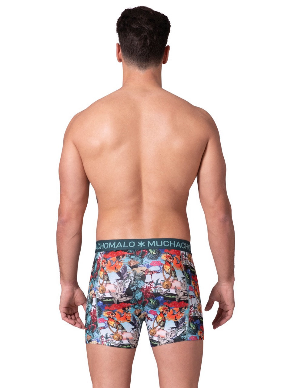 BIRDCAT 1010-04 2PK BOXER PR/PR Print/Print