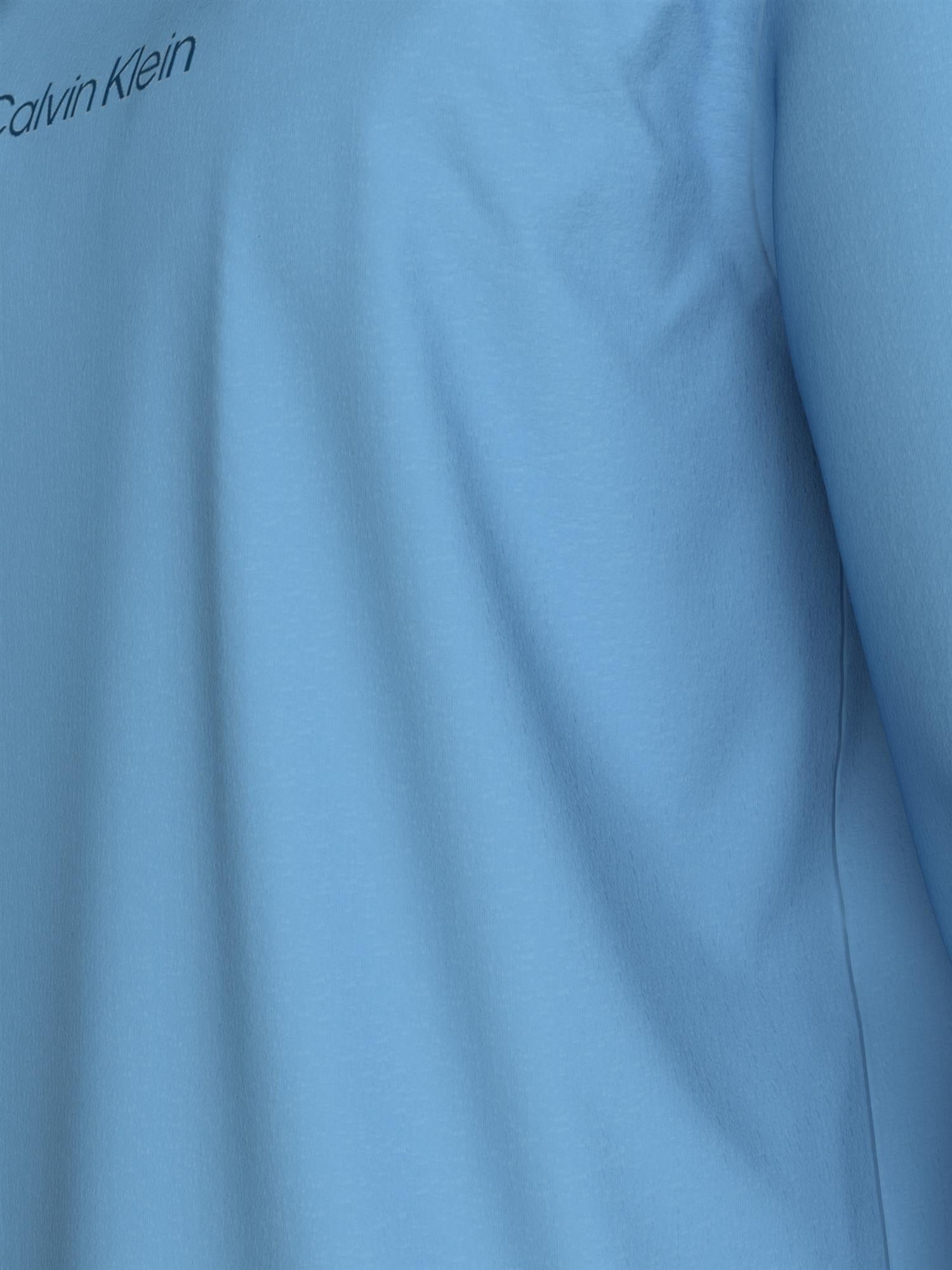 Ls Rlxd Standard Logo Crewnk Tee Track Blue