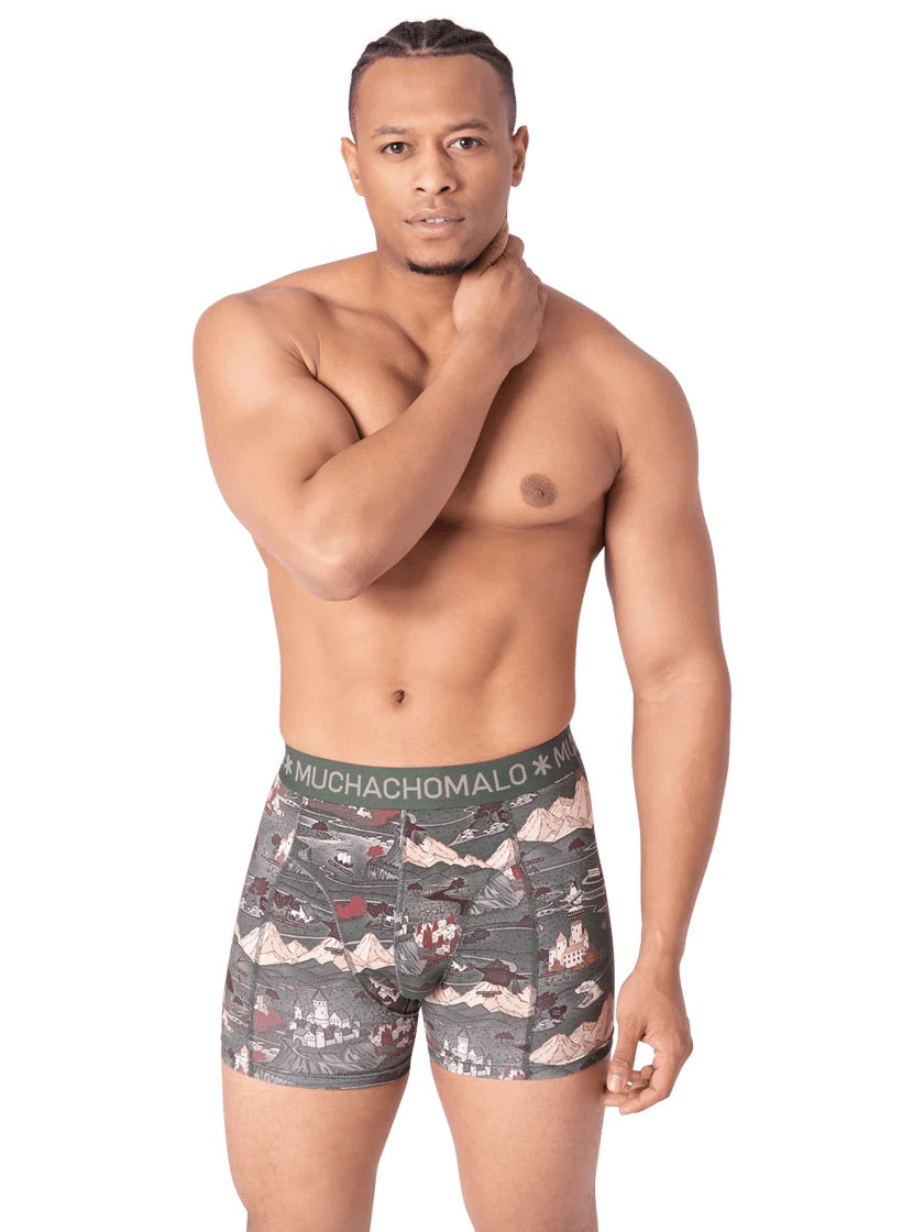 Mazelife 1010 04 2pk boxer Multicolor