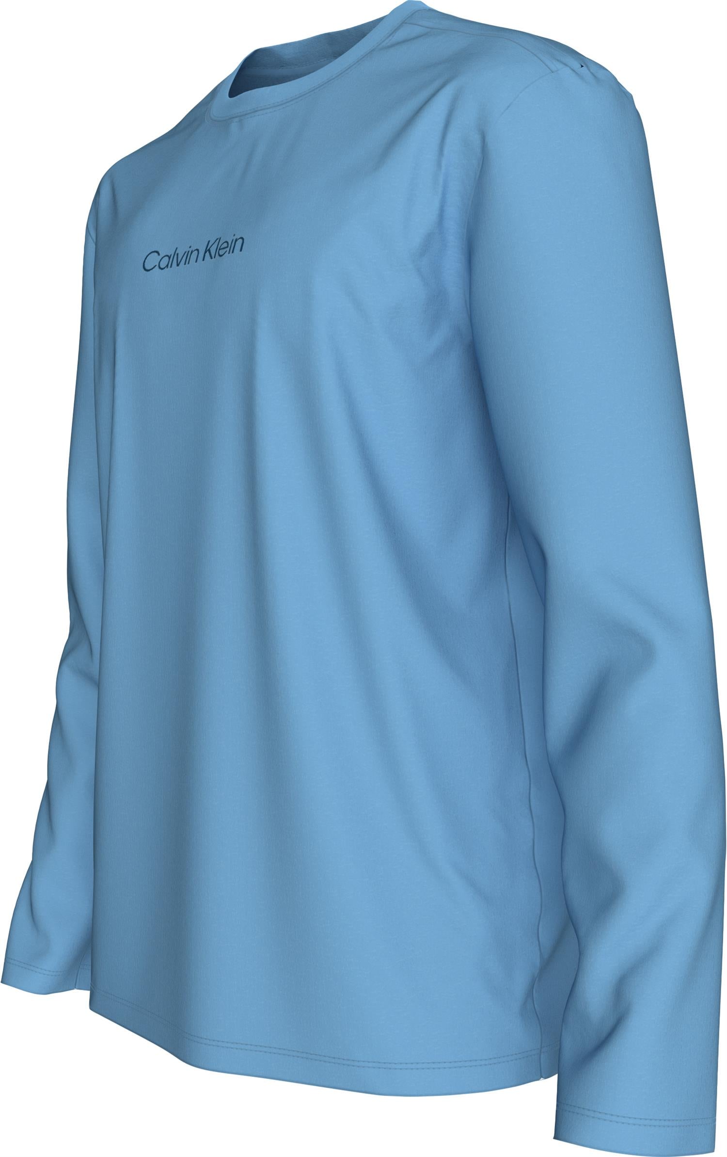 Ls Rlxd Standard Logo Crewnk Tee Track Blue