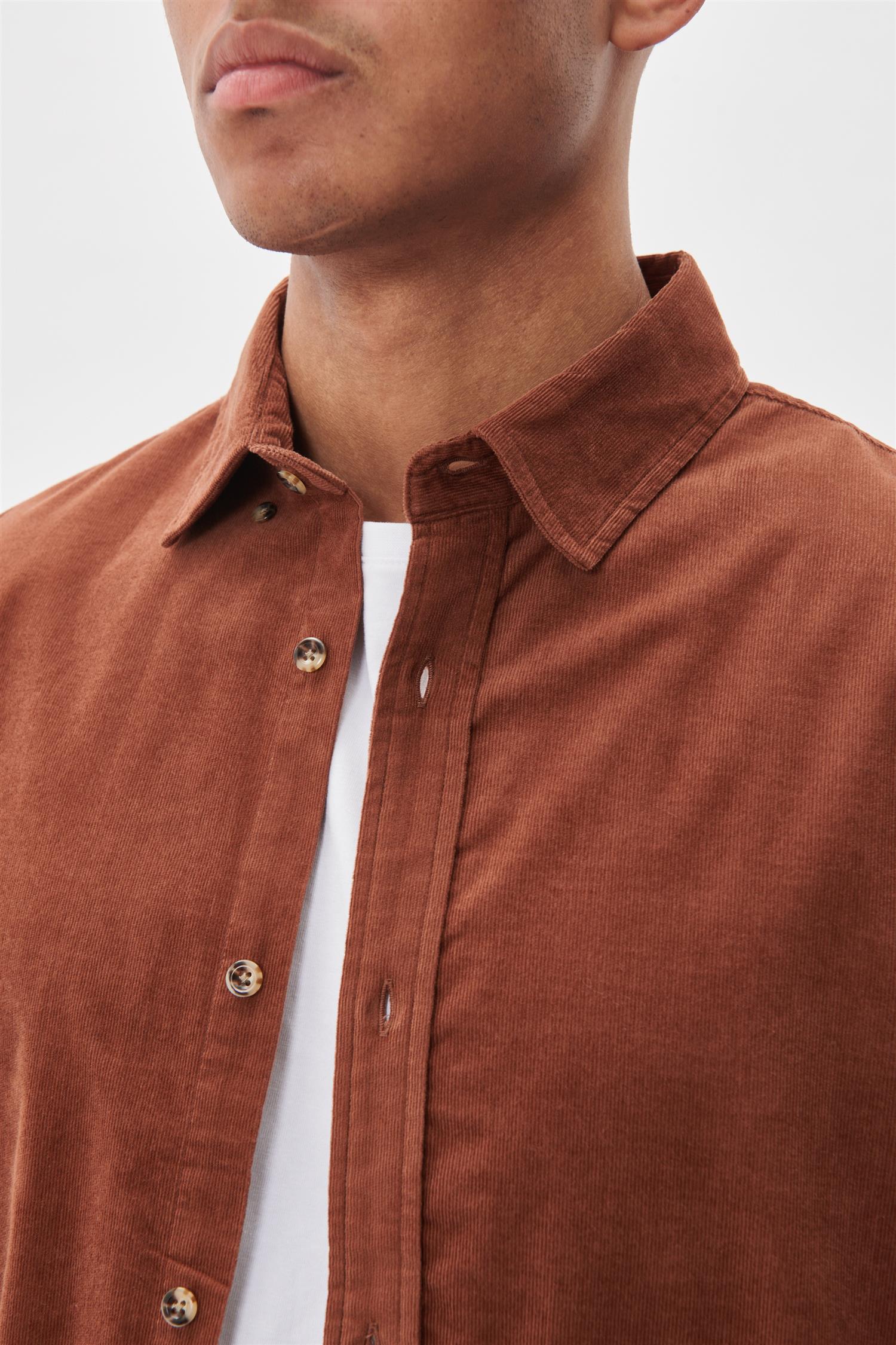 MAtrostol BU Cambridge Brown