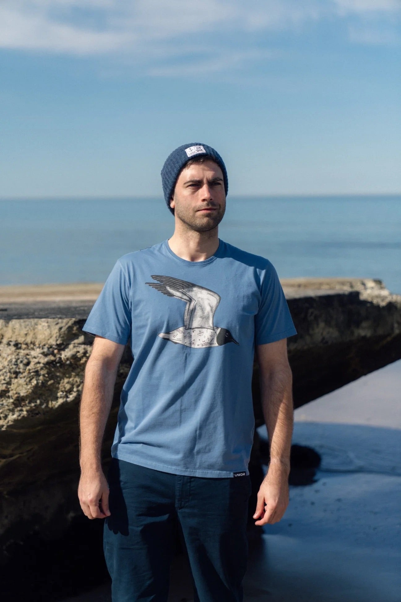 Tattooed Seagull T-shirt Captains Blue