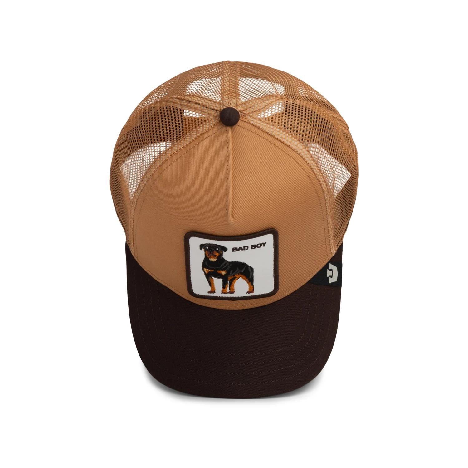 Bad boy trucker Lysebrun