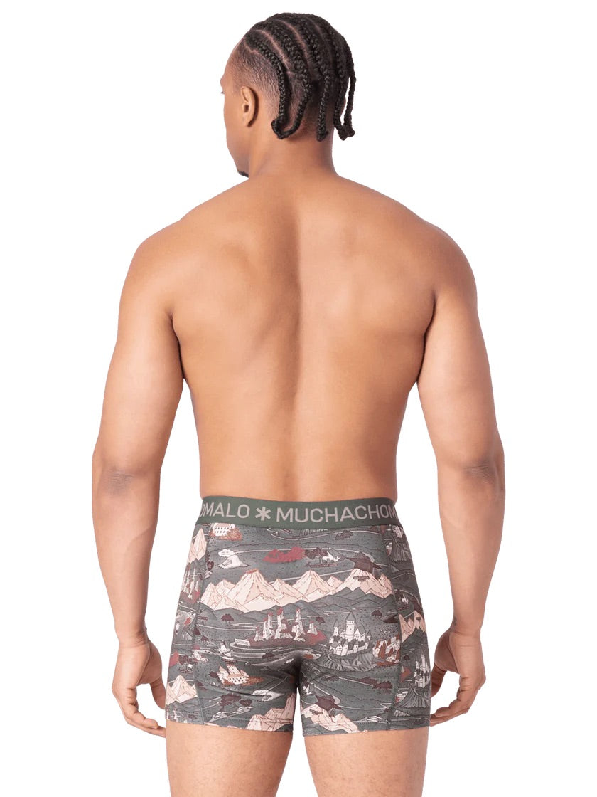 Mazelife 1010 04 2pk boxer Multicolor