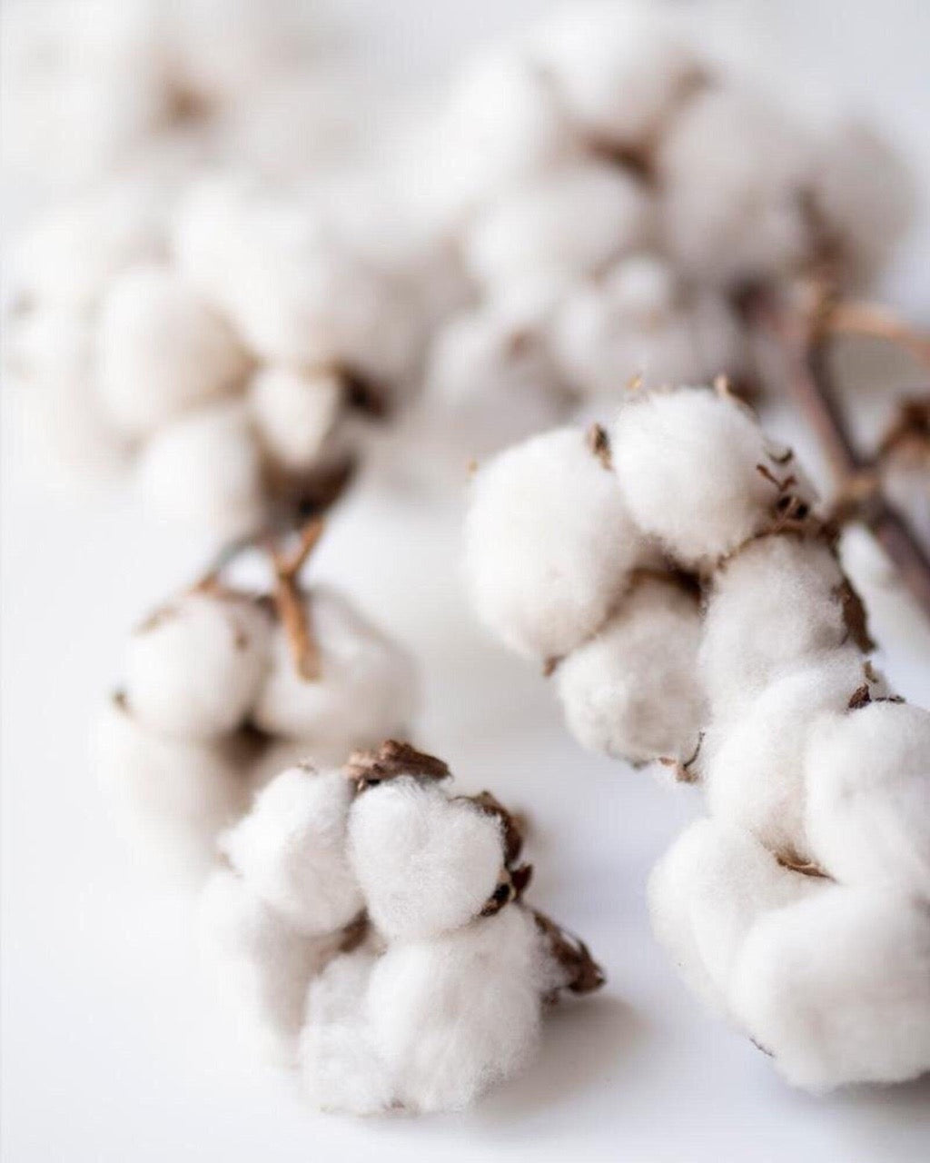 Dovre Sportstrøje tee Black