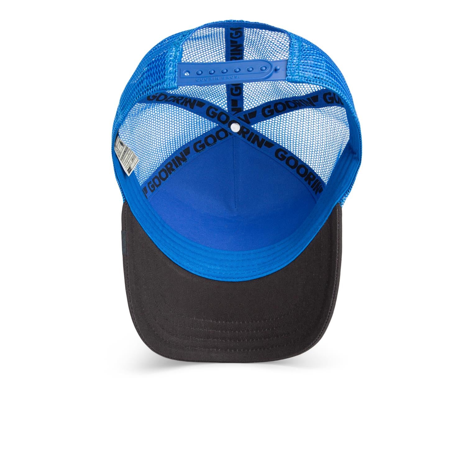 The Beast Bear - Royal Blue Black