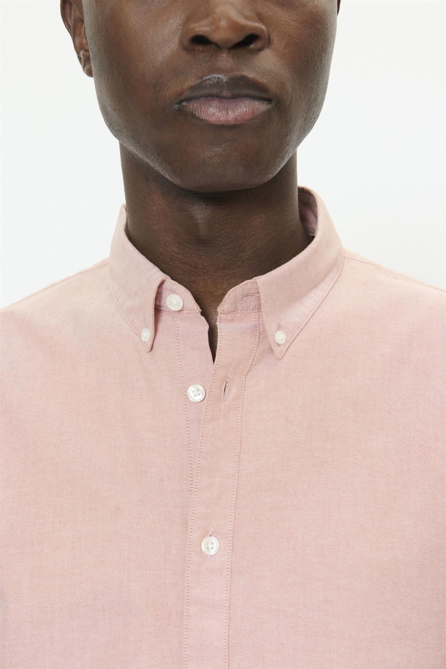 Matrostol Bd Gold Flame