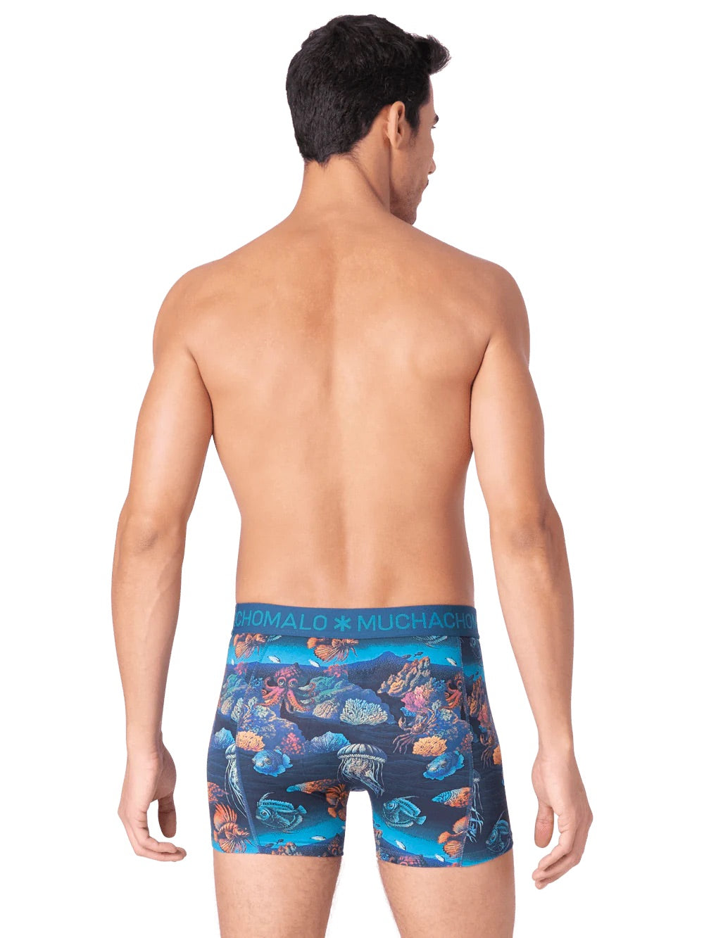 Deep sea mountaintop 1010 04 2pk boxer Multicolor