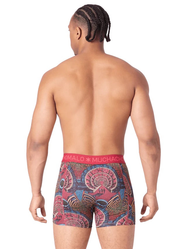 Mazelife 1010 04 2pk boxer Multicolor