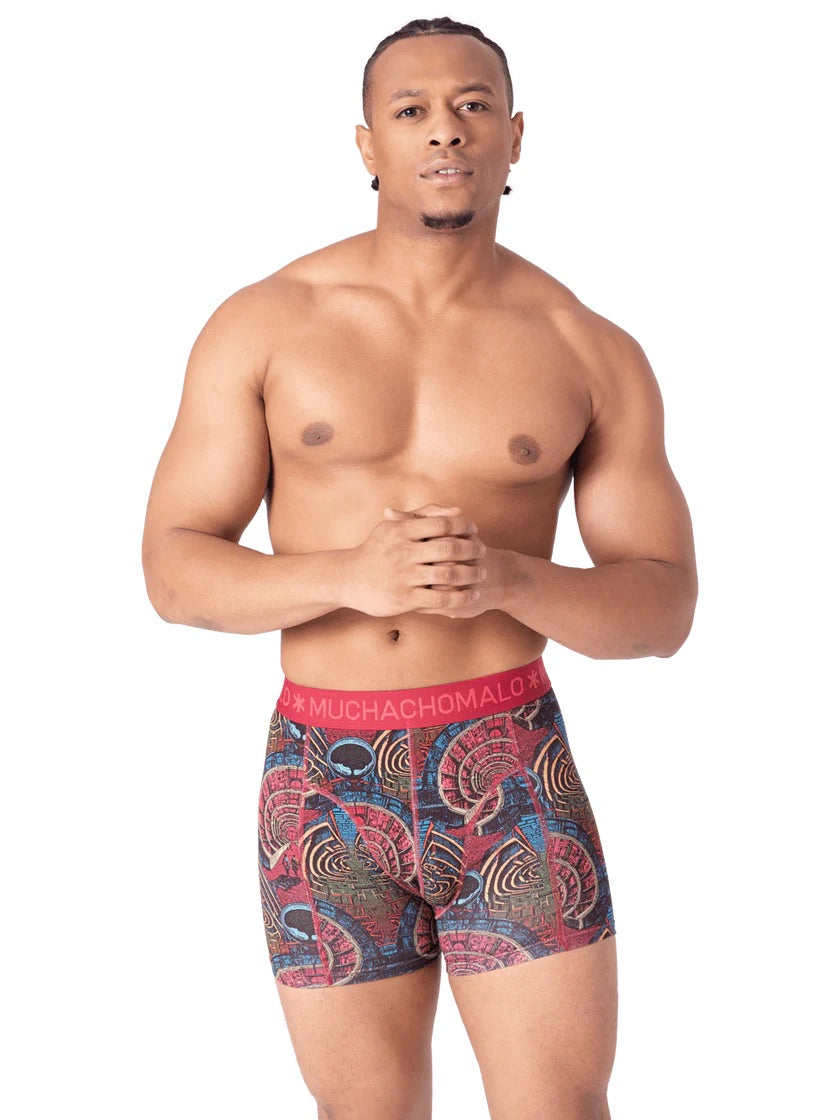 Mazelife 1010 04 2pk boxer Multicolor