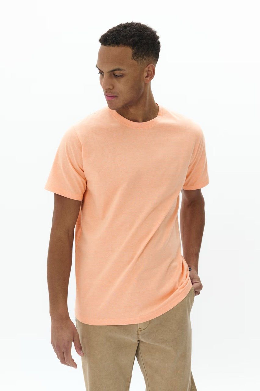 Jermane Shell Coral