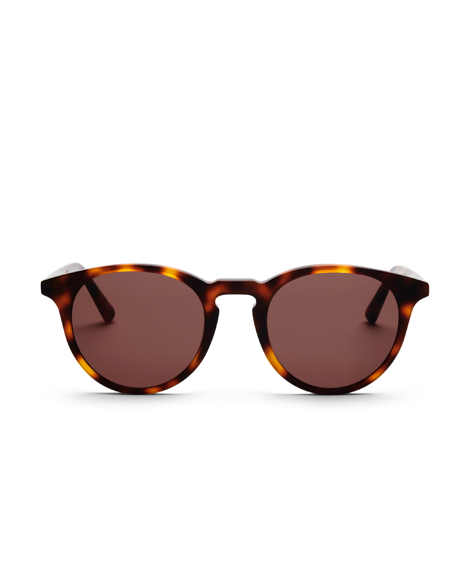 New Depp Brown Tortoise