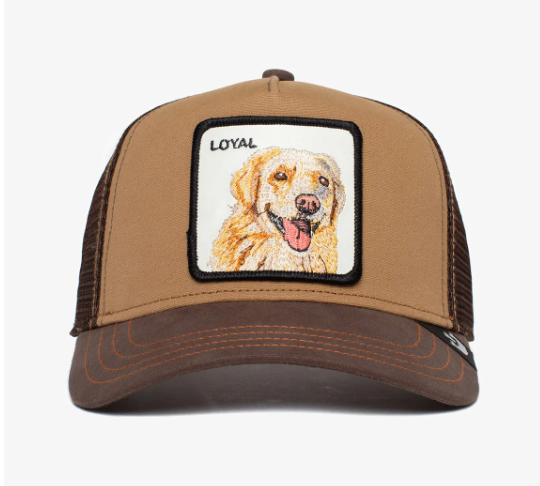 The Loyal Dog Brown