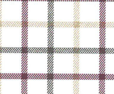 Basic Regular fit 35 RN Wine Red Check
