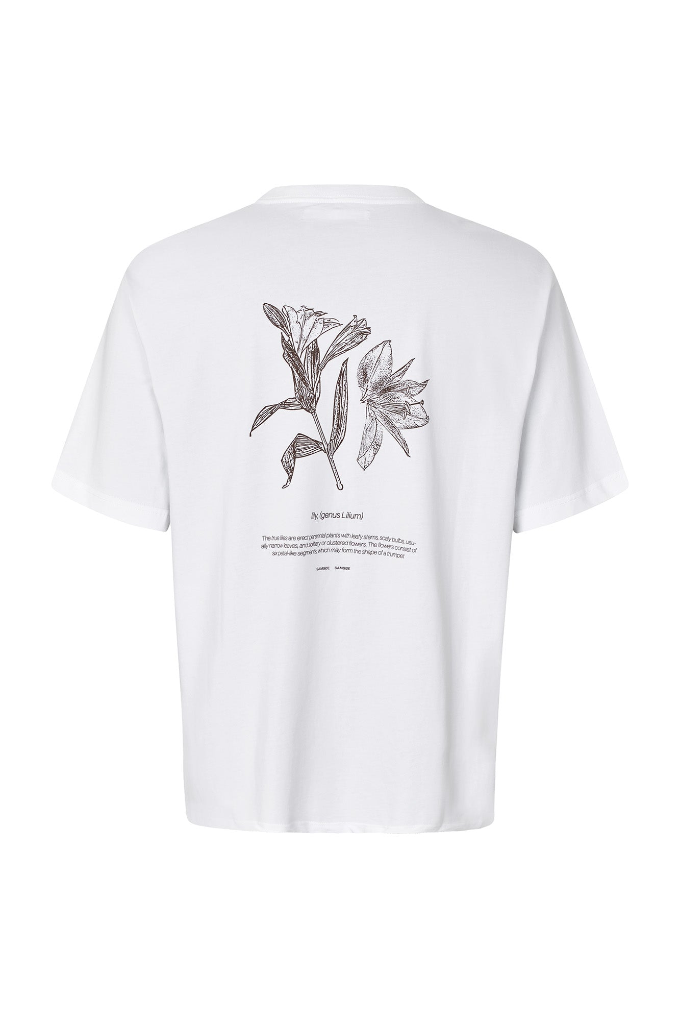 SALILIUM T-SHIRT 11725 Lilium French Roast