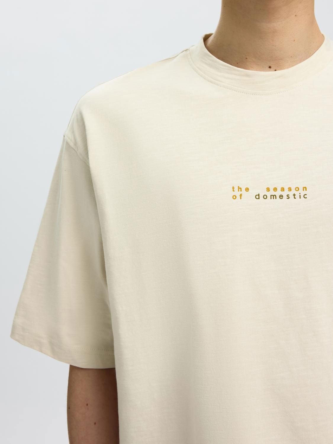 Slmdomestic Relaxdiesel Ss O-Neck Tee Silver Birch