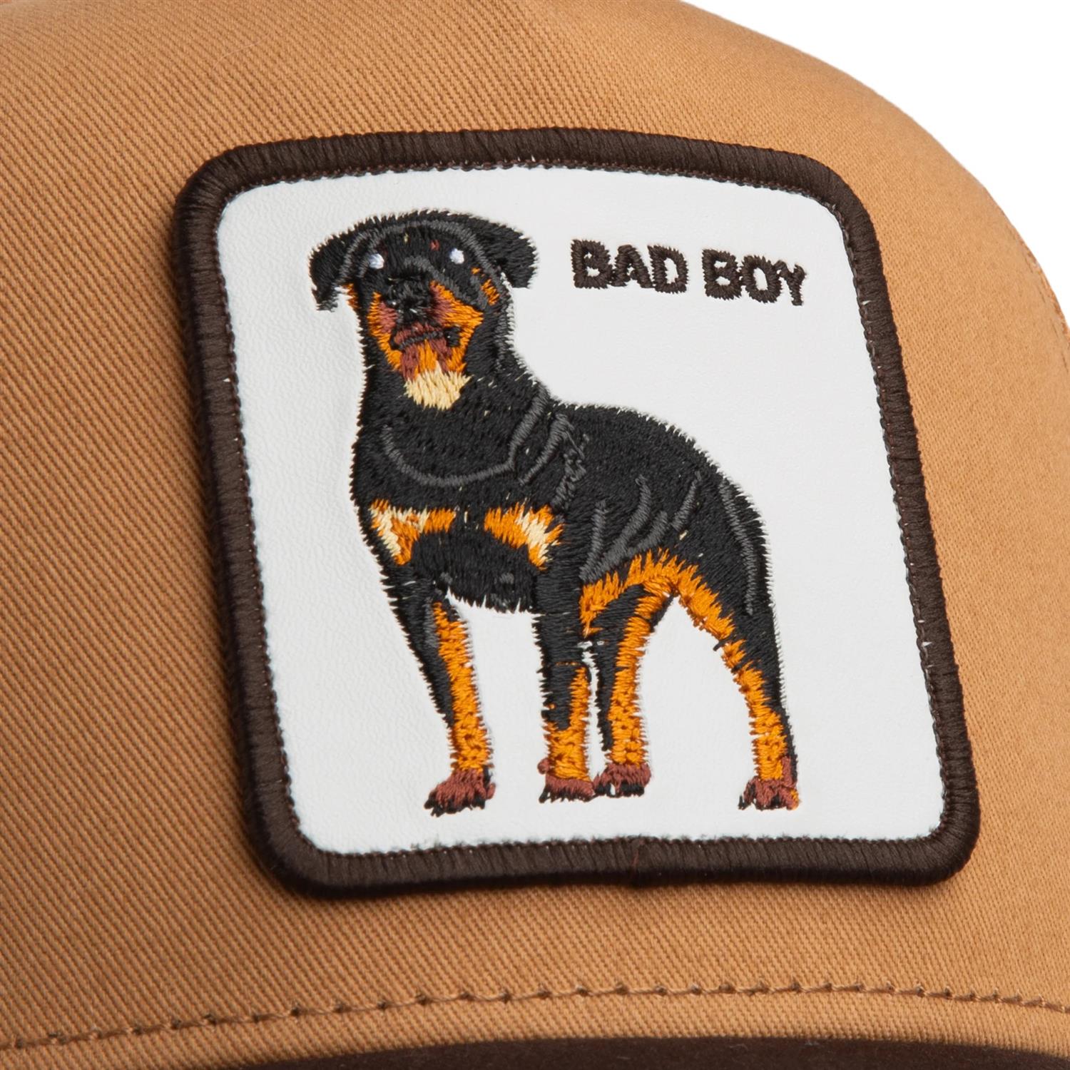 Bad boy trucker Lysebrun