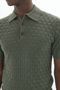 Mapolo Bb Heritage Thyme