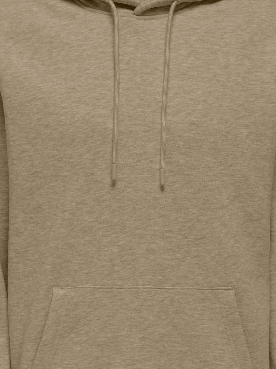 Onsconnor Life Reg Sweat Hoodie Noos Coriander
