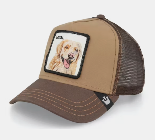 The Loyal Dog Brown
