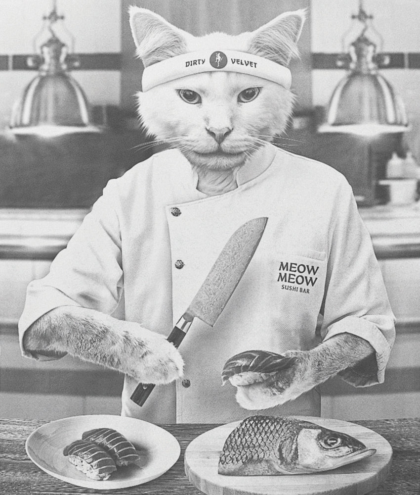 Sushi Cat White