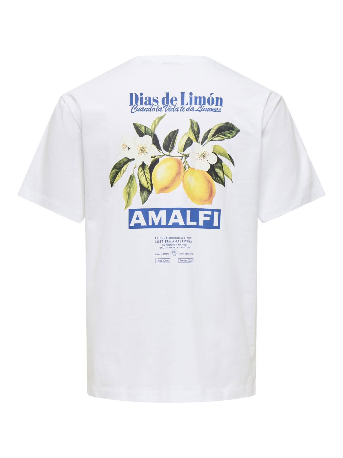 Onsfred Life Rlx Ss Print Tee Vd Bright White Amalfi
