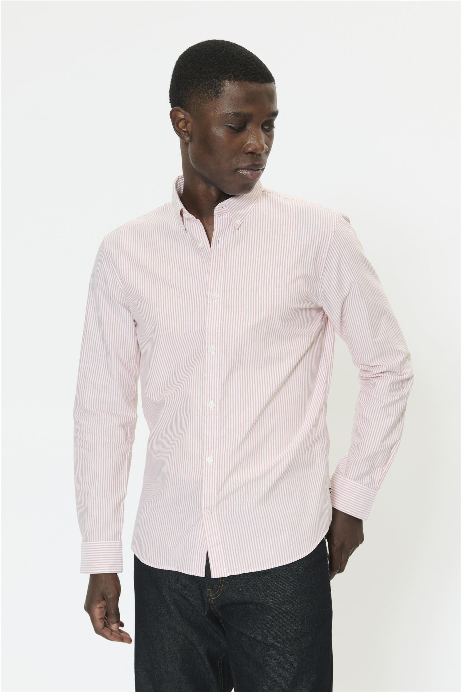 Matrostol Bd Gold Flame